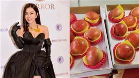 陳美鳳。（圖／翻攝陳美鳳臉書）