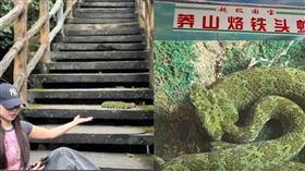 ▲一名女子爬山時偶遇毒蛇後拍了合照。（圖／翻攝自微博／瀟湘晨報）

