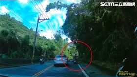 天降竹子砸傷無辜騎士，驚險瞬間全遭後方轎車錄下。（圖／翻攝畫面）