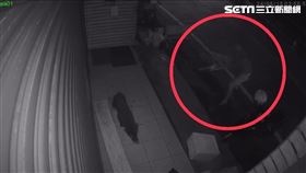 頭城莽漢竟拿塑膠椅砸傷野狗，手段相當惡劣。（圖／翻攝畫面）