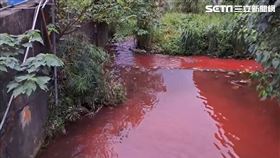 大窠溪成紅河! 環保局追禍首 竟是皮革廠倒廢水