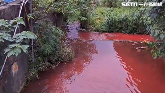 獨／大窠溪成紅河　皮革廠偷倒廢水成禍首