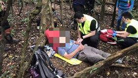 新北,登寮,雞母嶺,,蜂群,攻擊,昏迷