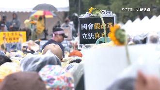 21日覆議案表決大戰 藍鷹是退伍軍人動員