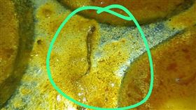 咖哩,蛇,中毒,食物（圖／翻攝自Ｘ）