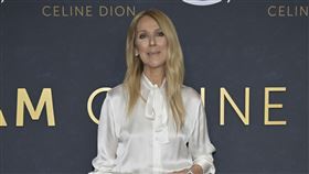 席琳狄翁。（圖／達志影像／美聯社）