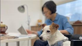 前總統蔡英文今（19）日在IG上PO出與樂樂的照片。（圖／翻攝蔡英文IG）