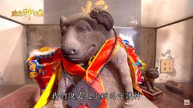 ▲狗狗成神的義犬將軍。（圖／寶島神很大）