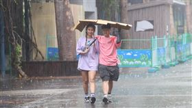 雙北桃園大雷雨特報（2）中央氣象署18日下午更新大雷雨即時訊息，擴大警戒區域包含台北市、桃園市、新北市，慎防劇烈降雨、雷擊。圖為台北市中正區，街頭民眾用紙板擋雨。中央社記者謝佳璋攝  113年6月18日