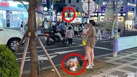 中國人妻遊韓放任孩隨地大便！濟州島人氣炸怒罵「比狗屎不如」