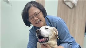 蔡英文今（20）日幫愛犬Maru慶祝16歲生日。（圖／翻攝蔡英文臉書)