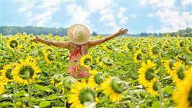 廖大乙,夏至,轉運,改運,磁場