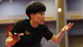 台灣桌球一姊鄭怡靜。（圖／國訓中心提供）