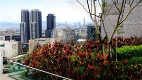 藝術藏於自然　楊柏林與「震大懷真」的浪漫奇藝（業配勿用）