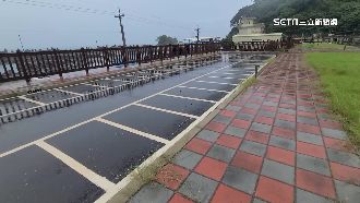 獨／粉鳥林土地爭議　縣府挨轟帶頭違規