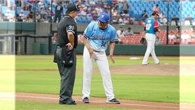 ▲富邦悍將總教練陳金鋒。（圖／富邦悍將提供）