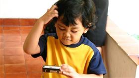 ▲12生肖的智商排行榜中，這「4生肖」排前4名，快來瞧瞧！（示意圖／翻攝自pixabay）