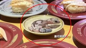 有民眾擅自將寵物守宮帶入壽司郎分店並放在沾醬盤擺拍上傳ig限動，引發網友撻伐，現在壽司郎喊告。（圖／翻攝畫面）