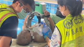 彰北國民運動中心,游泳,溺水,阿伯,無生命跡象,搶救（圖／翻攝畫面）