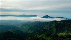 叢林,山區。（圖／翻攝自pexels）