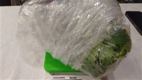 欣葉台菜信義新天地A9館的九層塔不合格。（圖／北市衛生局提供）