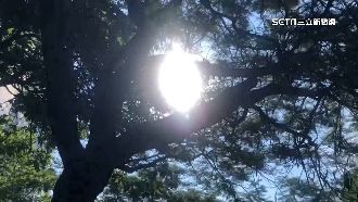 台南逾半年氣溫超過30度　獲封最熱城市