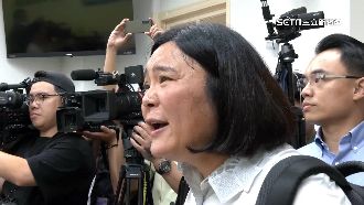 綠轟中滲台政論節目！陳玉珍被控「盯哨」