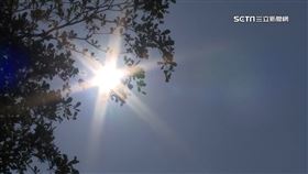影／進入最熱時序！飆高溫、午後強降雨　氣象署：持續一週