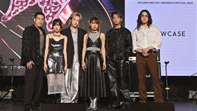 鶴、尋人啟事。（圖／台視提供）