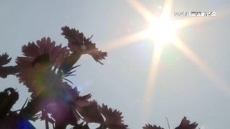 全台高溫！未落實「熱危害預防」恐罰15萬