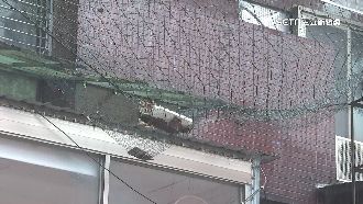 磁磚雨、冷氣掉　專家：台灣建築患皮膚癌