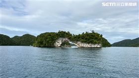 ▲帛琉旅遊美景海底餵魚 熱帶魚 海中（圖／記者許雅惠攝影）