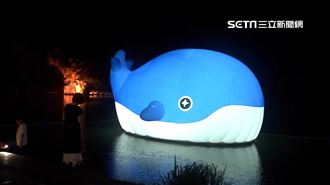 新店碧潭噴水秀！巨型鯨魚噴出5米高水柱