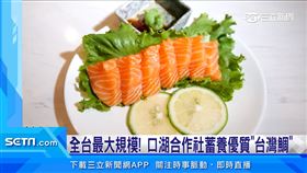 全台最大規模！口湖合作社蓄養優質「台灣鯛」