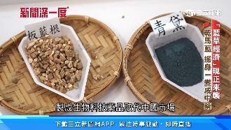 藍染、清冠一號都靠它　台灣居關鍵地位