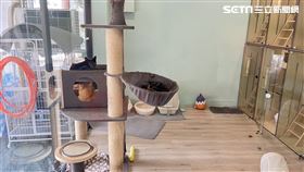 內湖寵物店老闆身亡，大女兒Doris受訪。（圖／記者李依璇攝影）