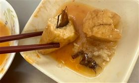 基隆,最強滷肉飯,蟑螂,食安,油豆腐