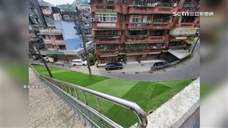 獨／基隆「假草」拔地起！走道、屋頂遍鋪