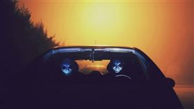 外星人（示意圖／翻攝自pexels）