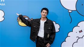 曾敬驊《貓貓蟲咖波10周年特展_貓蟲世界》。（圖／INCEPTION啟藝提供）