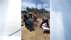 滿臉血！7旬翁跌倒遭野狗攻擊　目擊者：20隻狗咬他