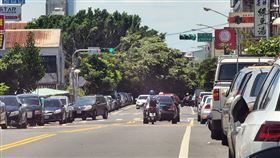 南投敦和國小榕樹突倒塌！女遭壓命危