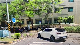 倒塌,路樹,東豐路,台南市,成功大學