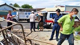流浪犬,學甲,攻擊