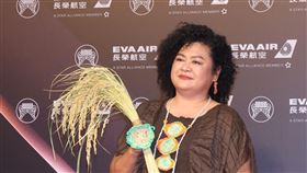 巴奈Panai（圖／記者鄭孟晃、楊澍攝）