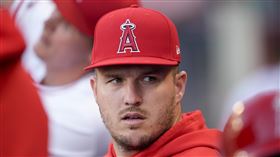 ▲楚奧特（Mike Trout）仍在復健中。（圖／美聯社／達志影像）