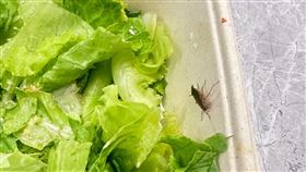 覺旅咖啡西湖店被多名網友投訴生菜沙拉裡面有異物。（圖／翻攝threads）