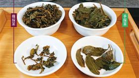 食安,網紅,茶葉,越南茶,直播主