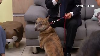 領養截肢浪犬斑斑　賴清德：確認過眼神