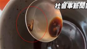 攪一攪醬鍋，半截食指大蟑螂活跳跳，手腳緊抓湯匙邊緣，用餐民眾嚇傻。（圖／翻攝社會是新聞影音畫面）